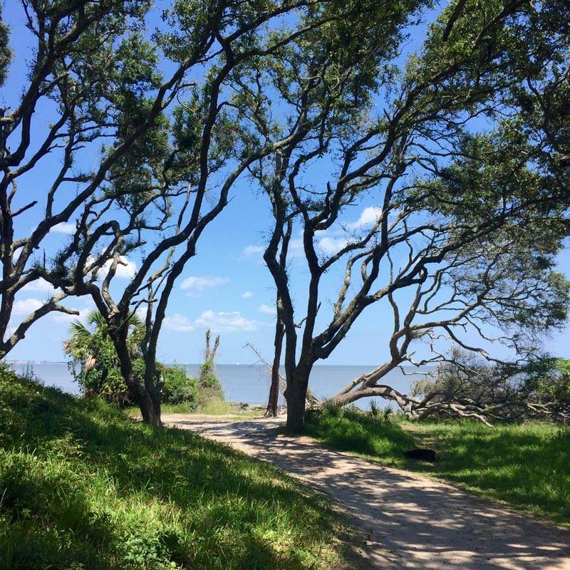 Path to Driftwood Beach, Jekyll Island