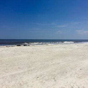 Top 5 Things To Do In Jekyll Island Coastal Wandering Jekyll Island Beach Georgia Golden Isles Coastal Wandering