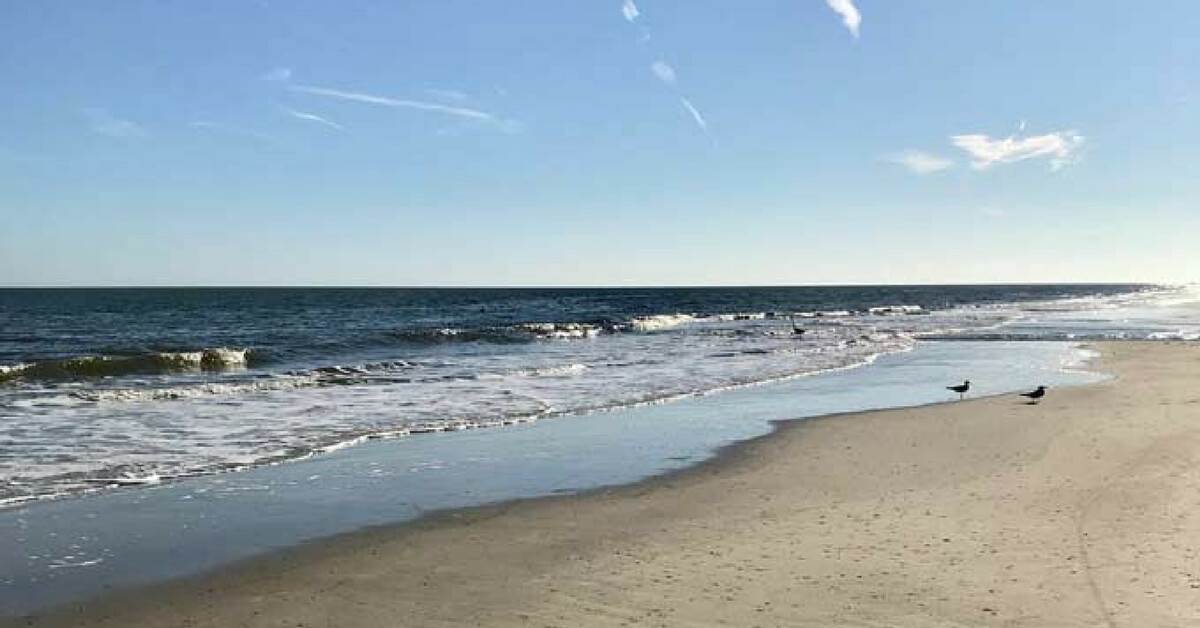 7 Best Beaches In Hilton Head Island Coastal Wandering 4906