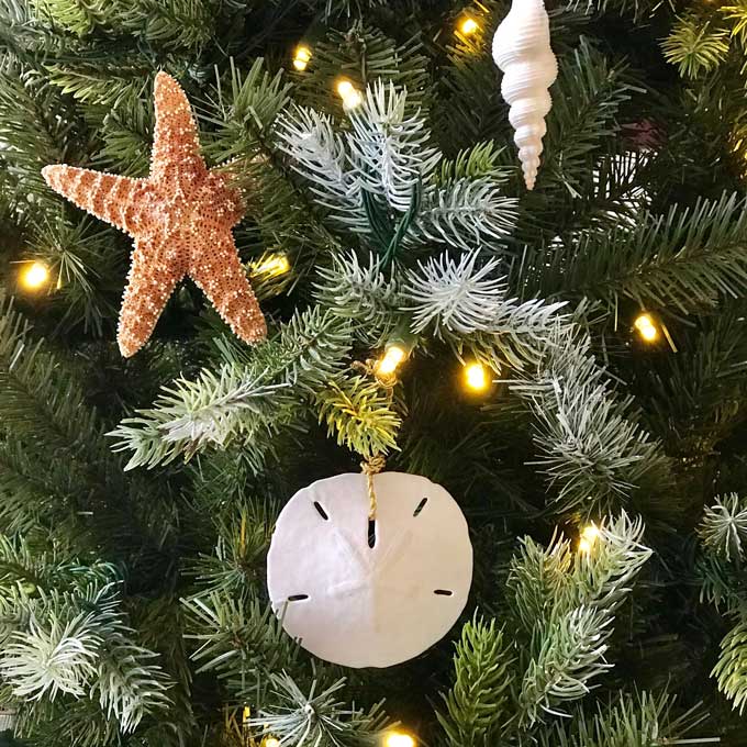Christmas ornaments made from seashells - sand dollar, starfish, spindle shell
