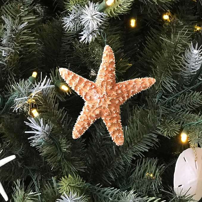 Starfish Christmas ornament