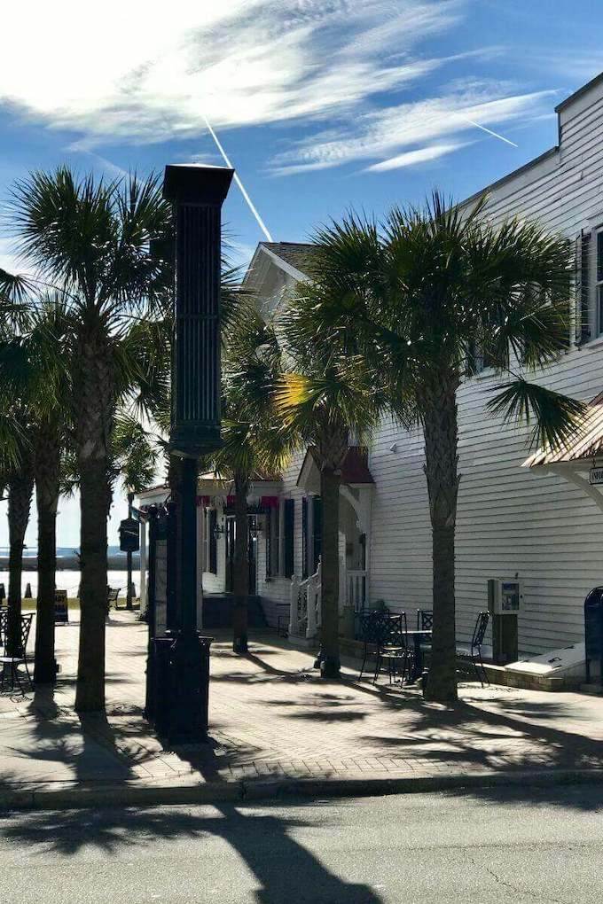 Palmettos and a restaurant in Beaufort SC