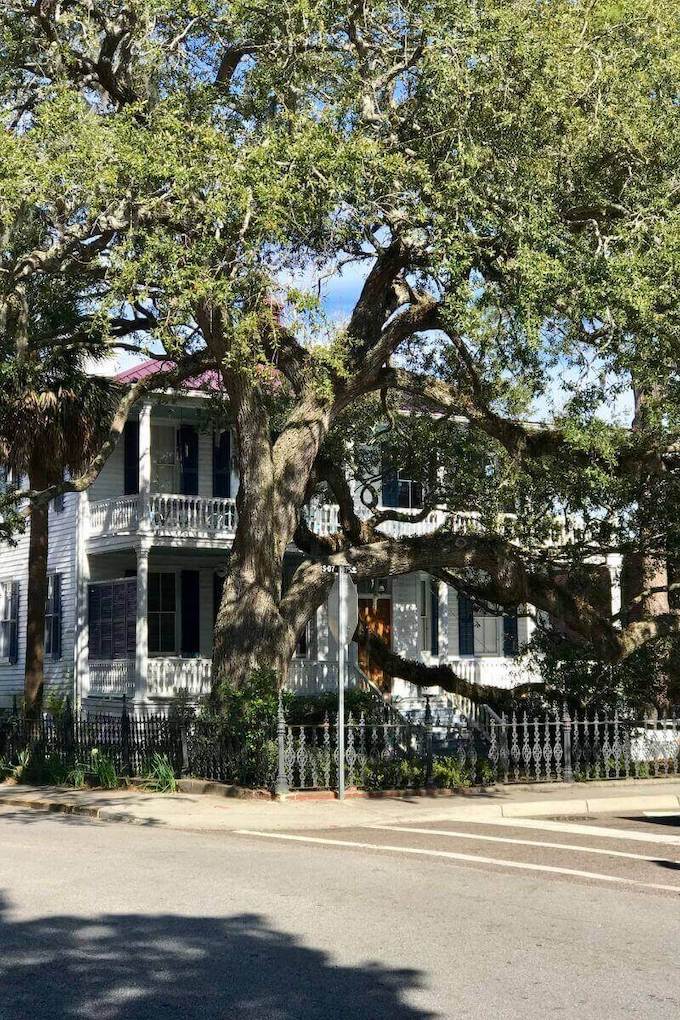 Historic homes in the Beaufort Historic District