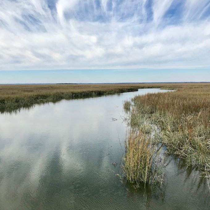 Hunting Island State Park in Beaufort, South Carolina