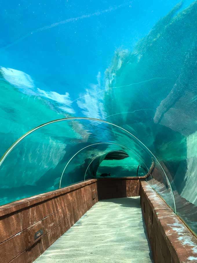 Atlantis aquarium underwater tunnels in the Bahamas - Coastal Wandering