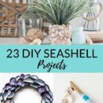 23 DIY Seashell Projects