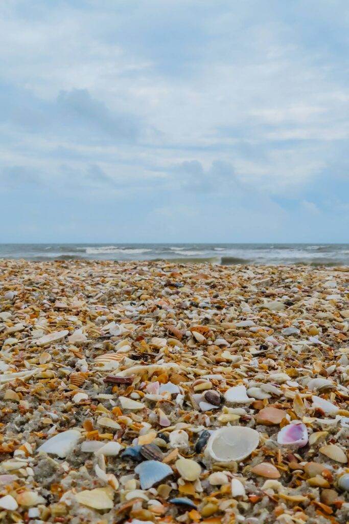 Shell beach in Florida