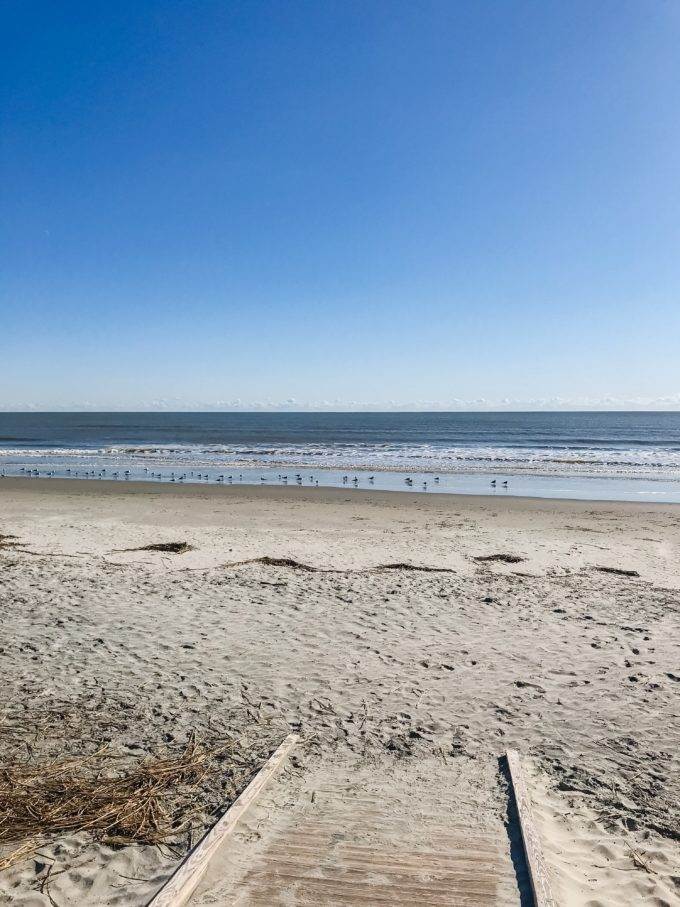 Charleston South Carolina beaches Isle of Palms - Coastal Wandering