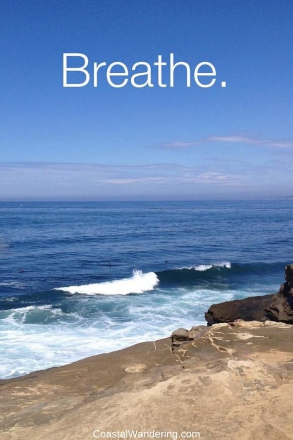 76 Beach Quotes to Brighten Your Day - Coastal Wandering