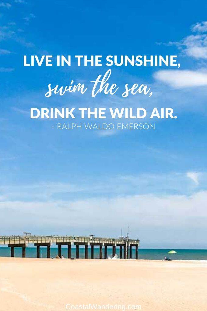 live in the sunshine swim the sea