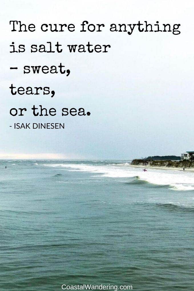 the cure for anything is salt water - sweat tears or the sea. - Isak Dinesen