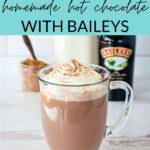 Homemade hot chocolate with Baileys