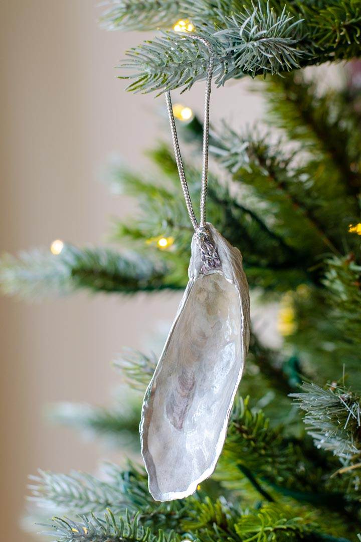 Oyster shell ornament on Christmas tree