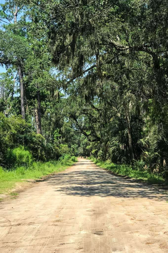 Daufuskie Island Beach Road