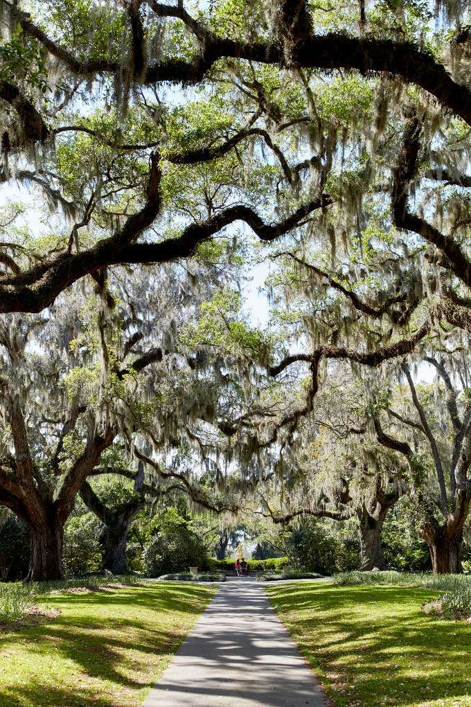 Murrells Inlet Brookgreen Gardens