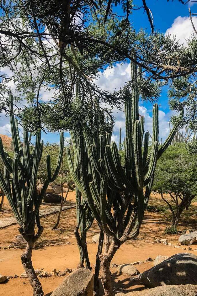 Casibari trail, Aruba