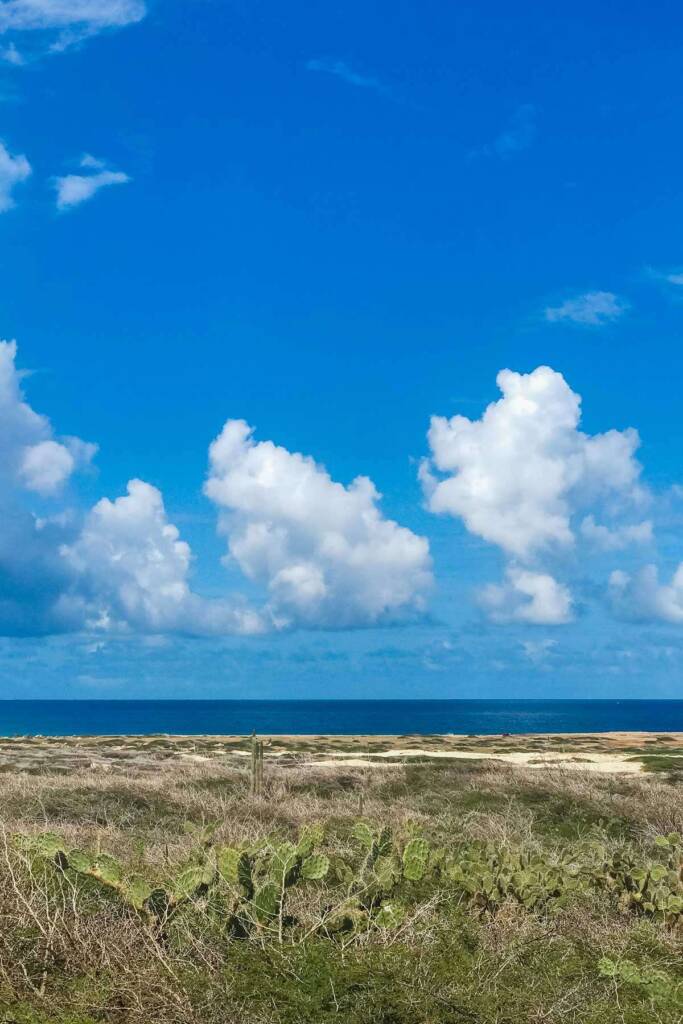 Aruba coastline