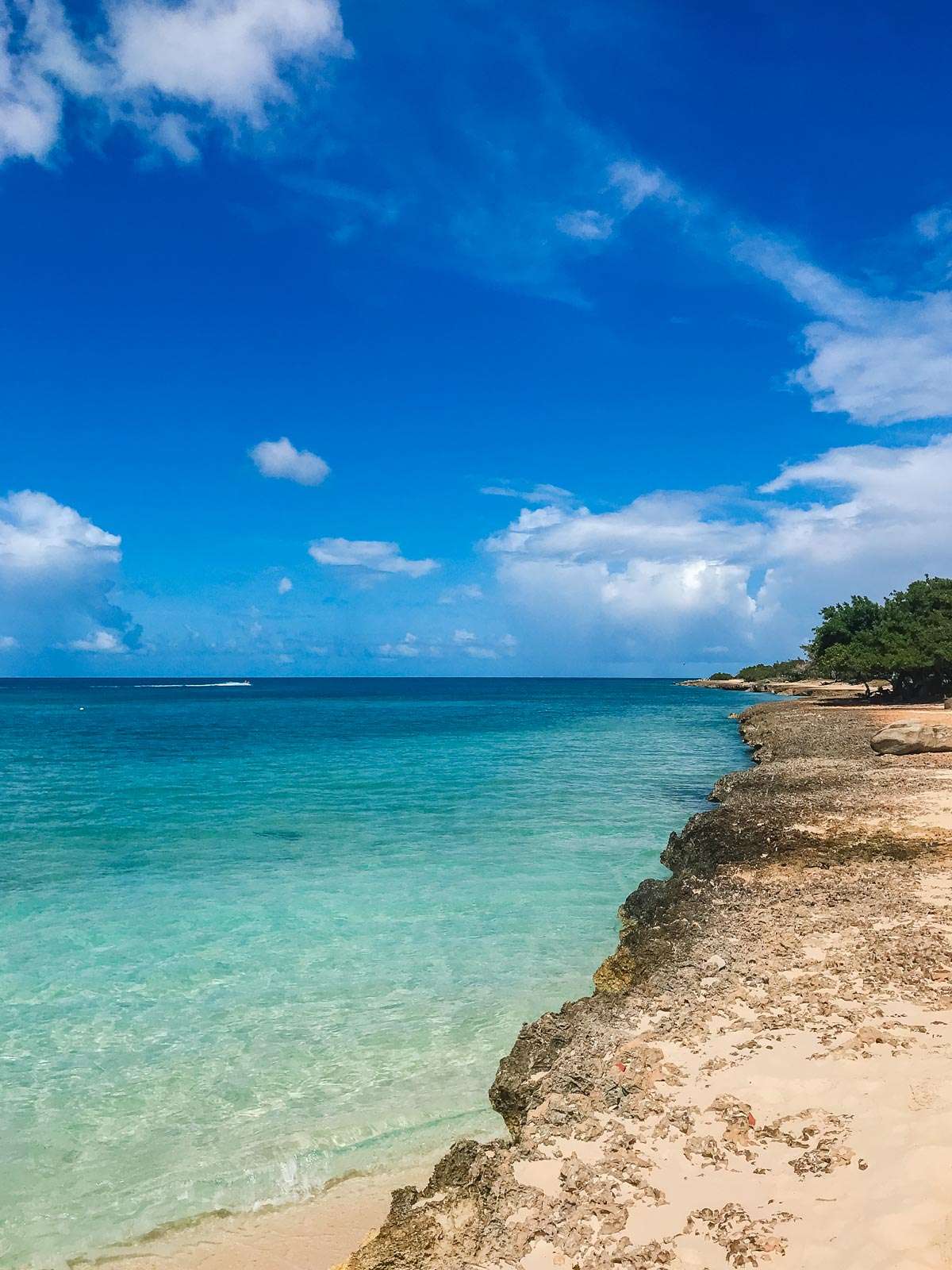 Aruba coast