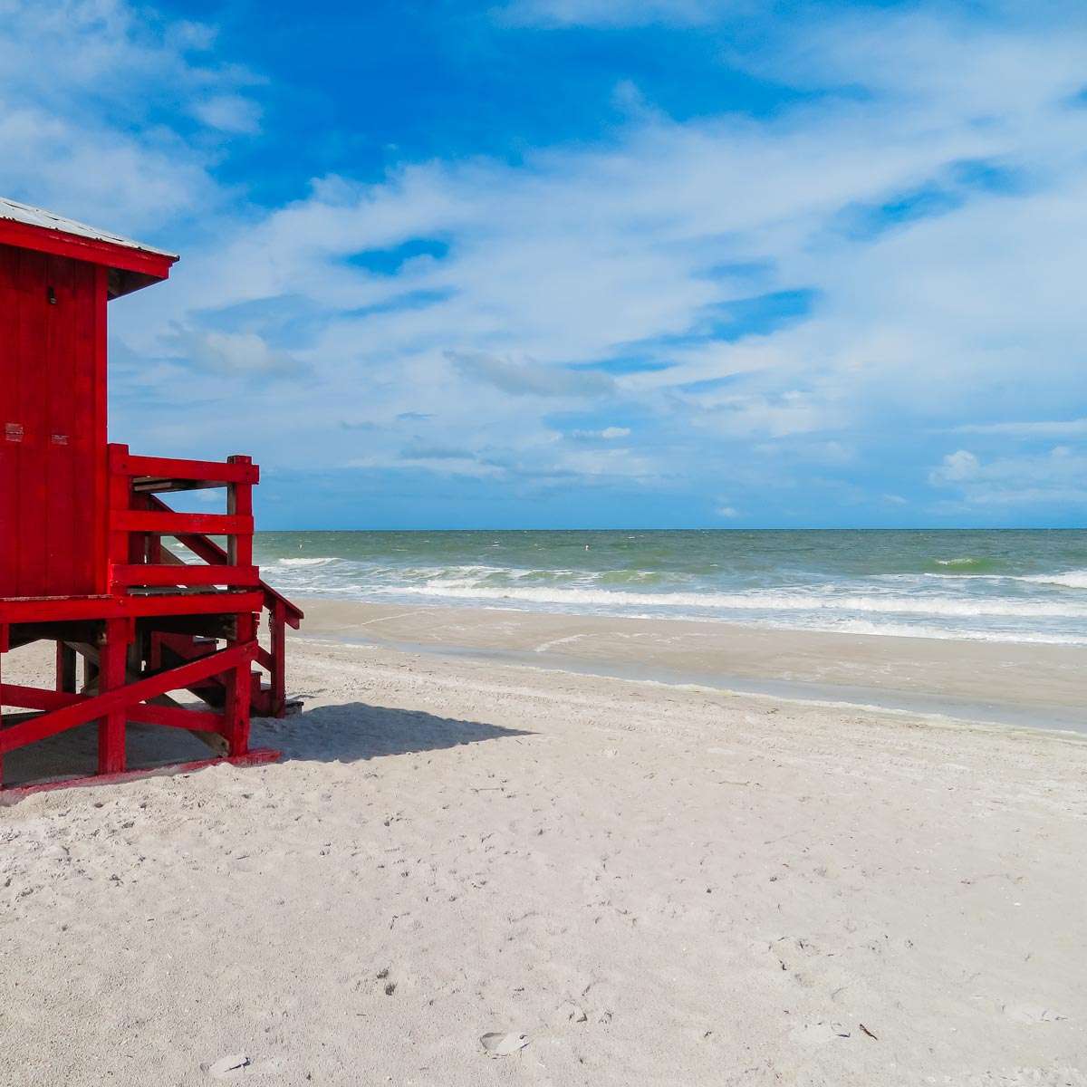 are dogs allowed on sand key beach