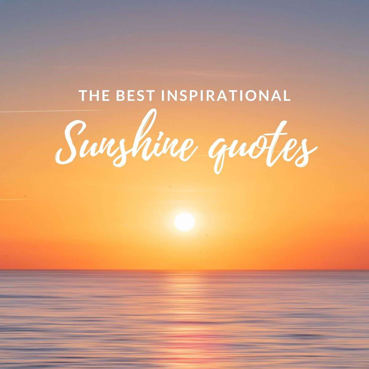 sun travel quotes