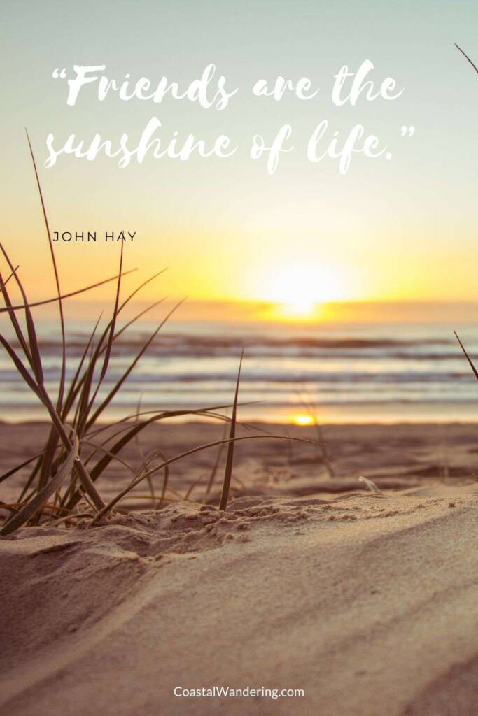 “Friends are the sunshine of life.”