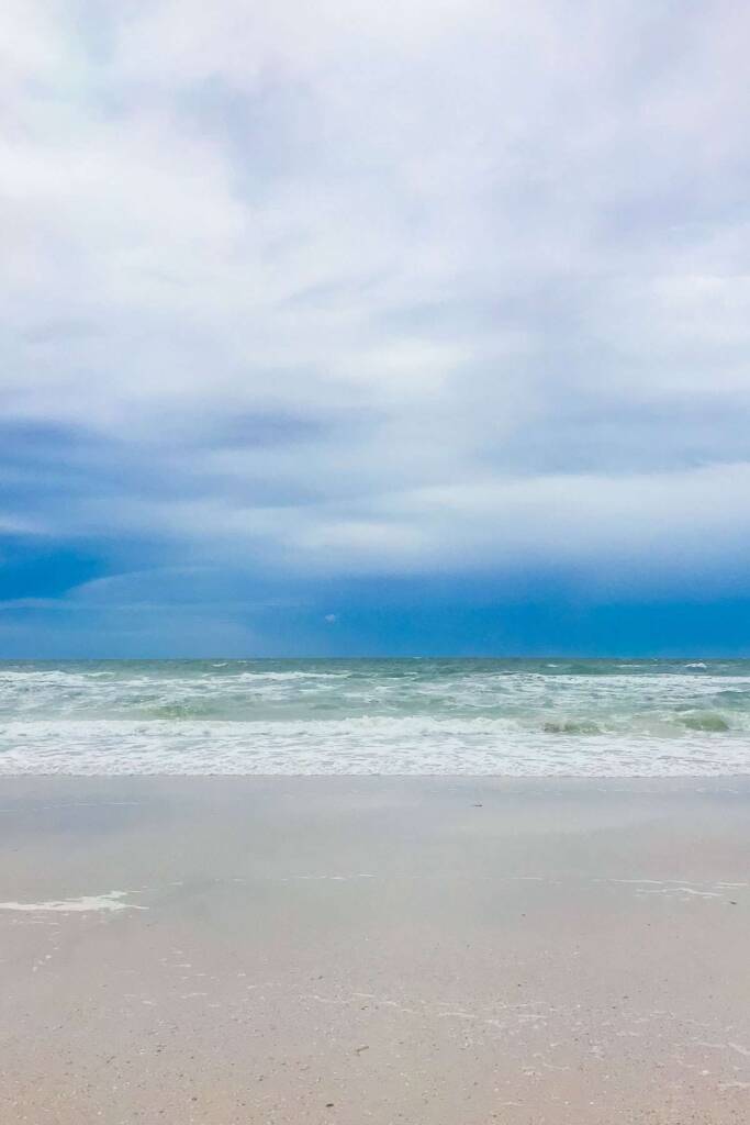 are dogs allowed on sand key beach