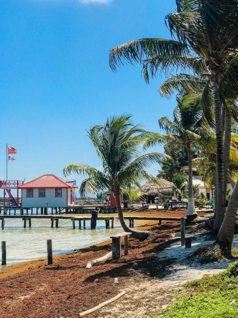 Docks at Caye Caulker