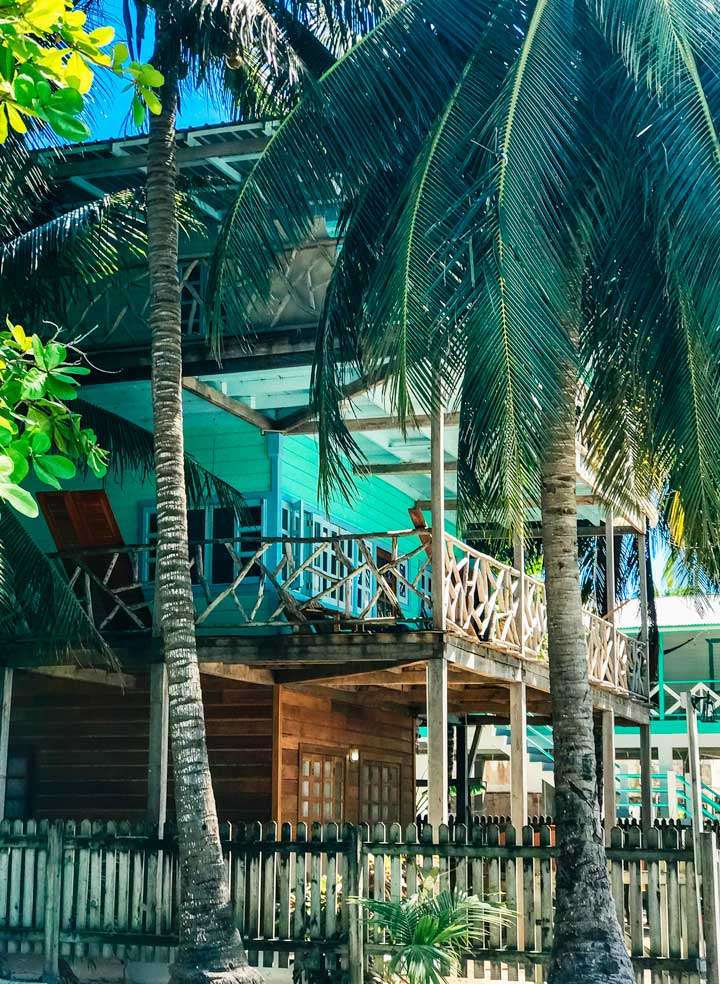 House with palm trees