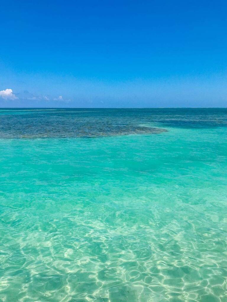 Caye Caulker reef