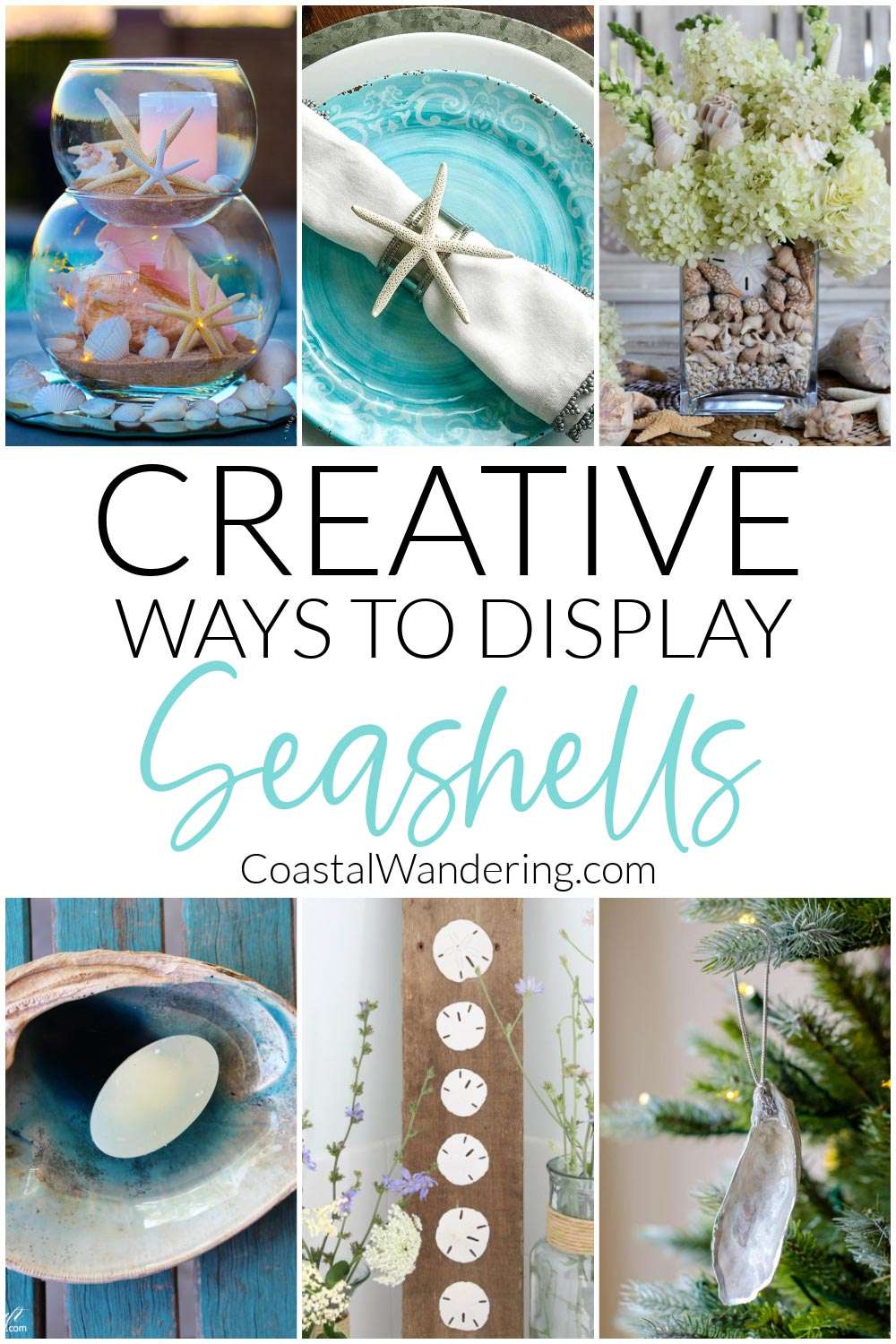22 Creative Ideas For Displaying Seashells Coastal Wandering