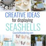 Creative ideas for displaying seashells