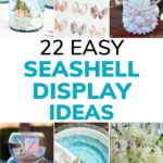 22 Easy seashsell display ideas