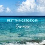 Best things to do in Bonaire