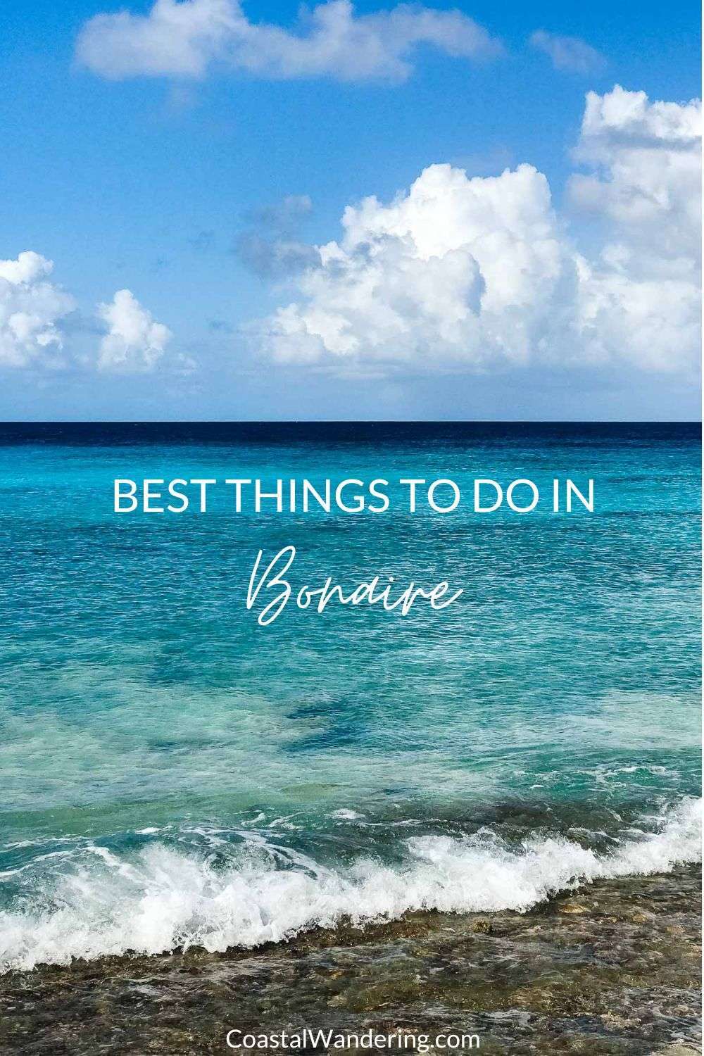Best things to do in Bonaire