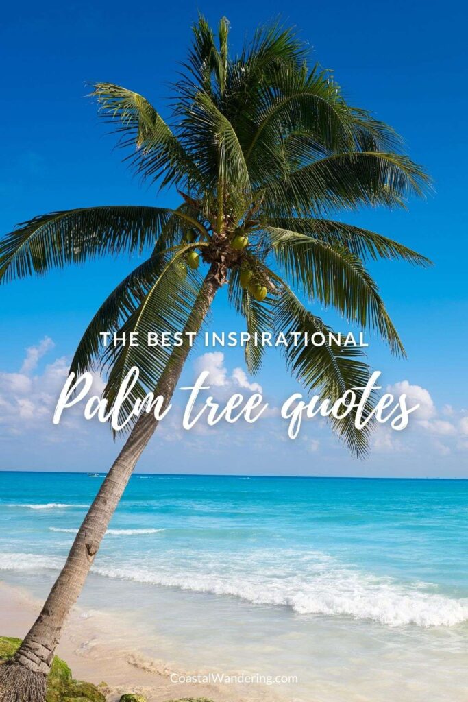 The best inspirational palm tree quotes