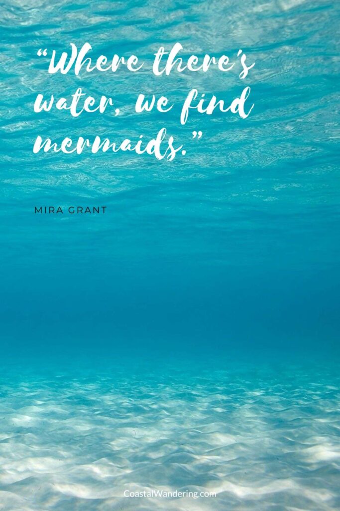 “Where there's water, we find mermaids.”