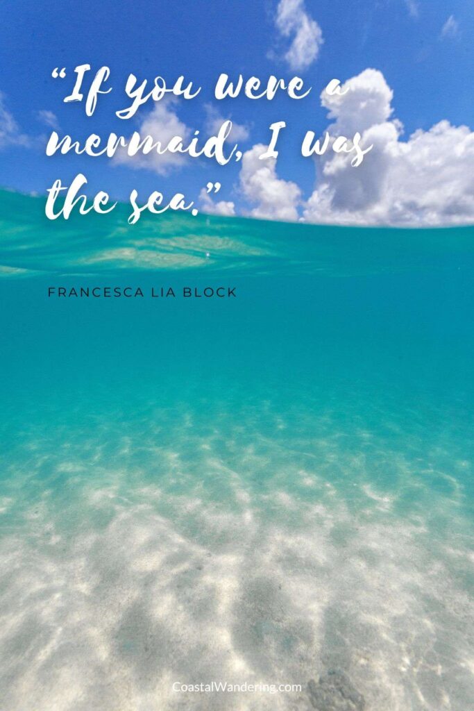 “If you were a mermaid, I was the sea.”