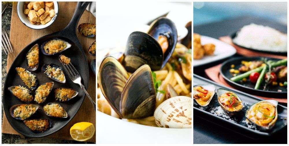 Mussels recipes