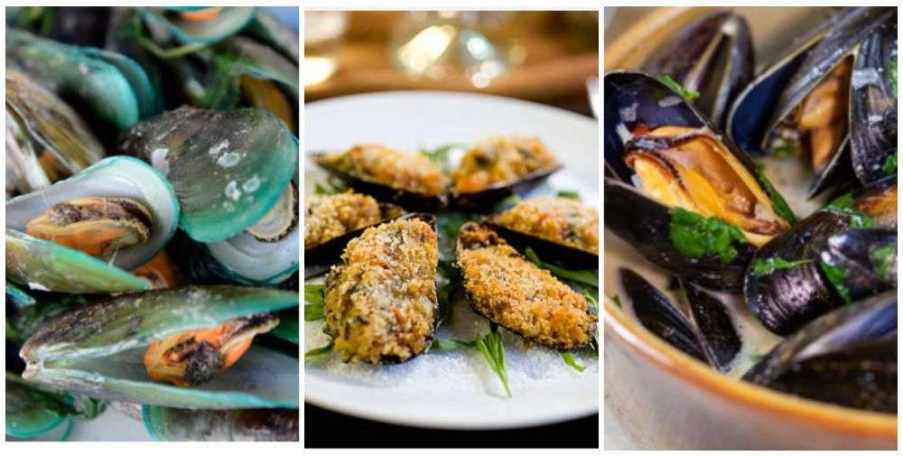 Recipe ideas using mussels