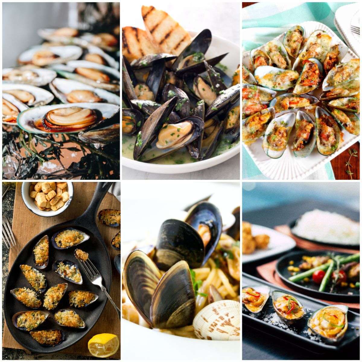 Baked mussels recipes