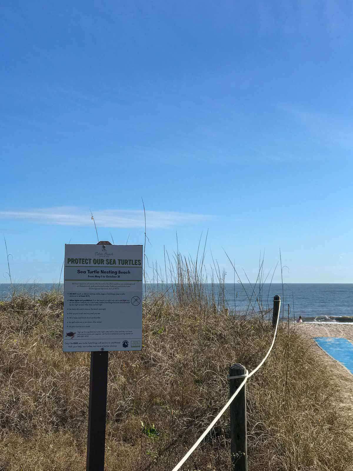 Edisto Beach State Park sea turtle sign