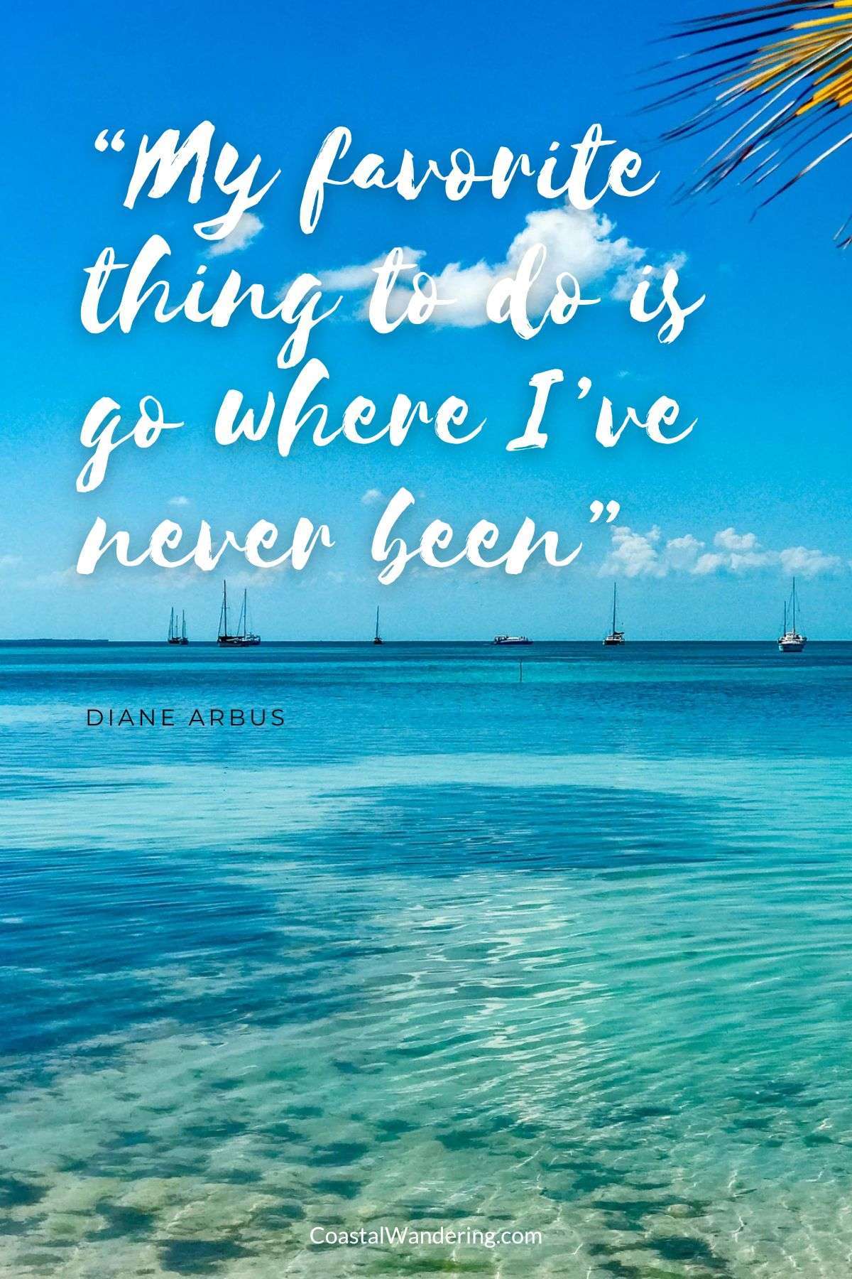 “My favorite thing to do is go where I’ve never been”  - Diane Arbus
