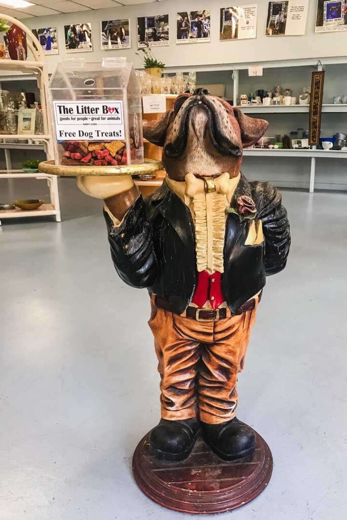 12 Best Thrift Stores In Hilton Head To Bargain Shop Coastal Wandering