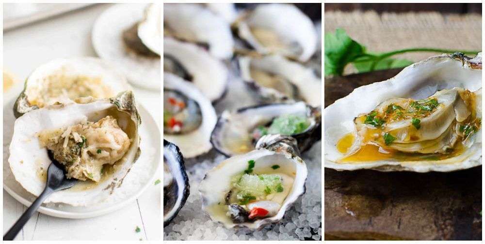 Oysters served in the shell