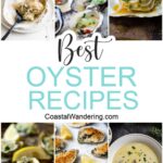Best oyster recipes