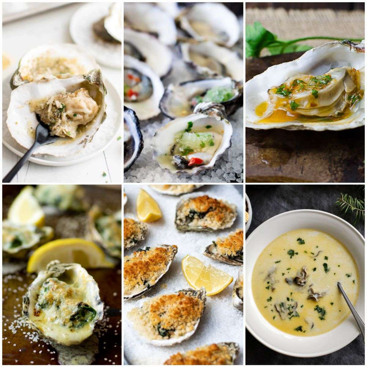 Oyster recipes