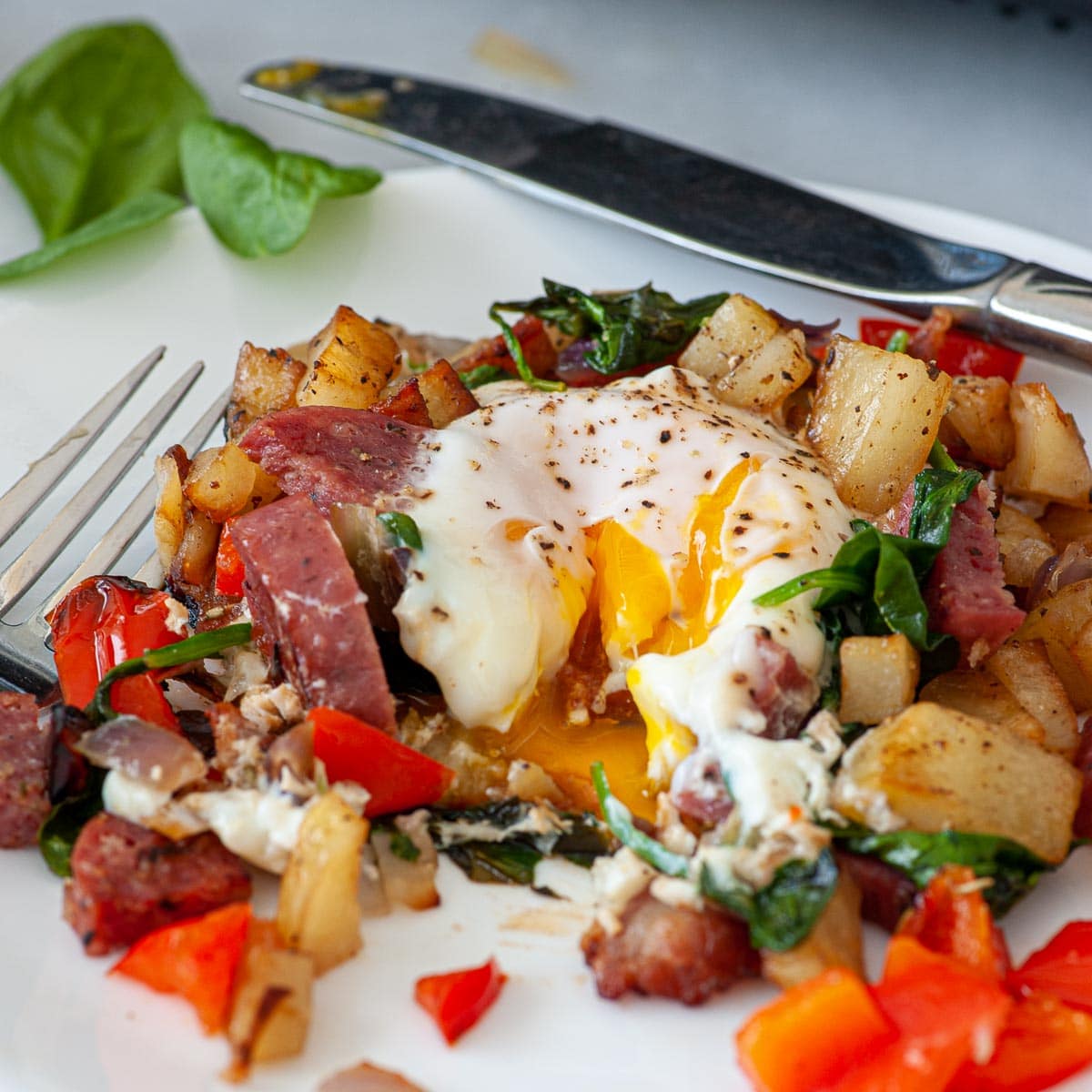 Breakfast hash with fried egg