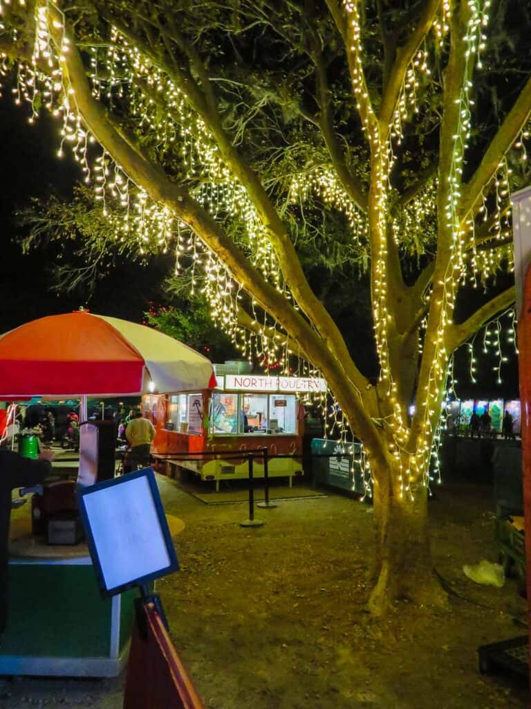 Amazing Holiday Festival Of Lights In Charleston, SC (2024) - Coastal ...