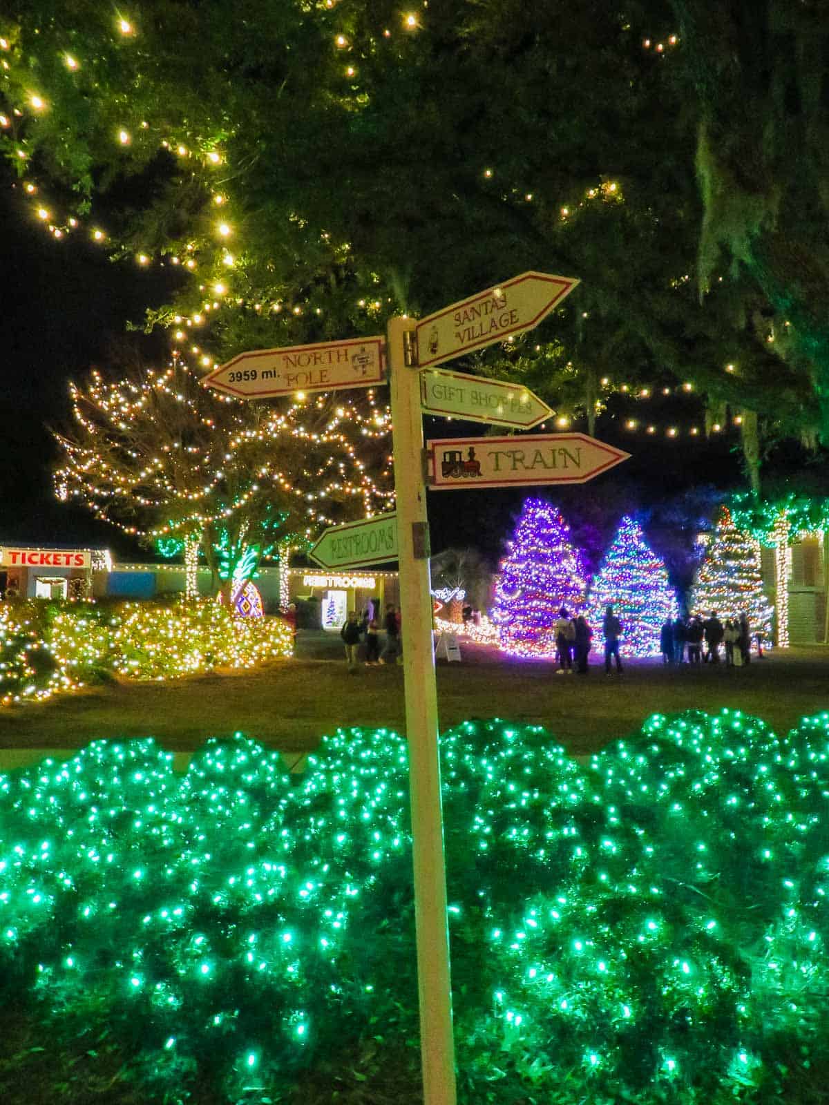 Amazing Holiday Festival of Lights in Charleston, SC (2023) Coastal