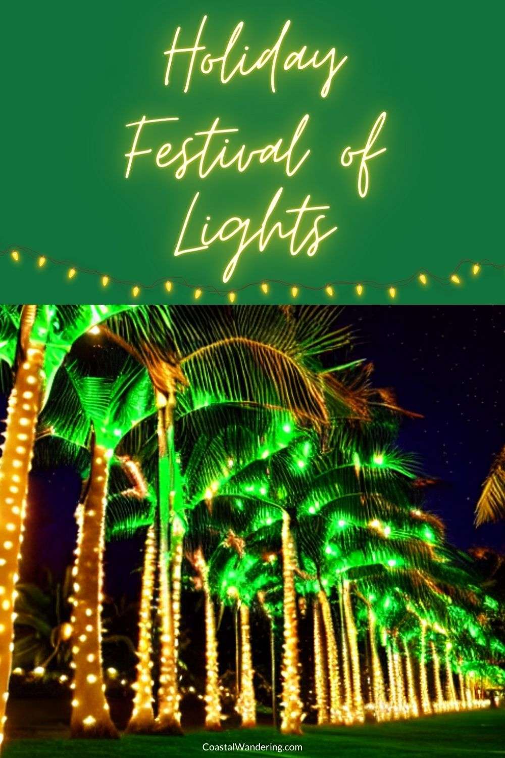 Amazing Holiday Festival of Lights in Charleston, SC (2023) Coastal